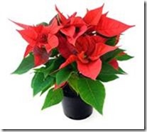 clip_image006